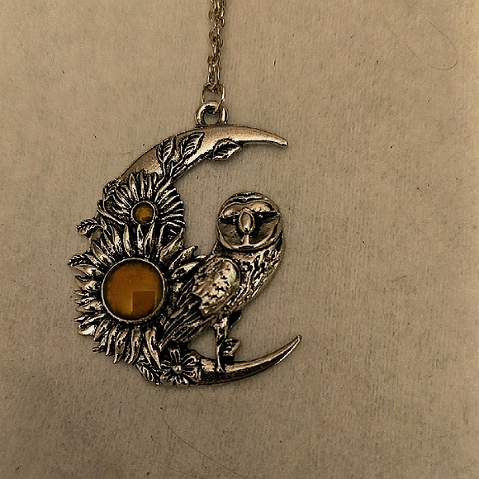 Charming Silver Owl And Sunflower Necklace 5$